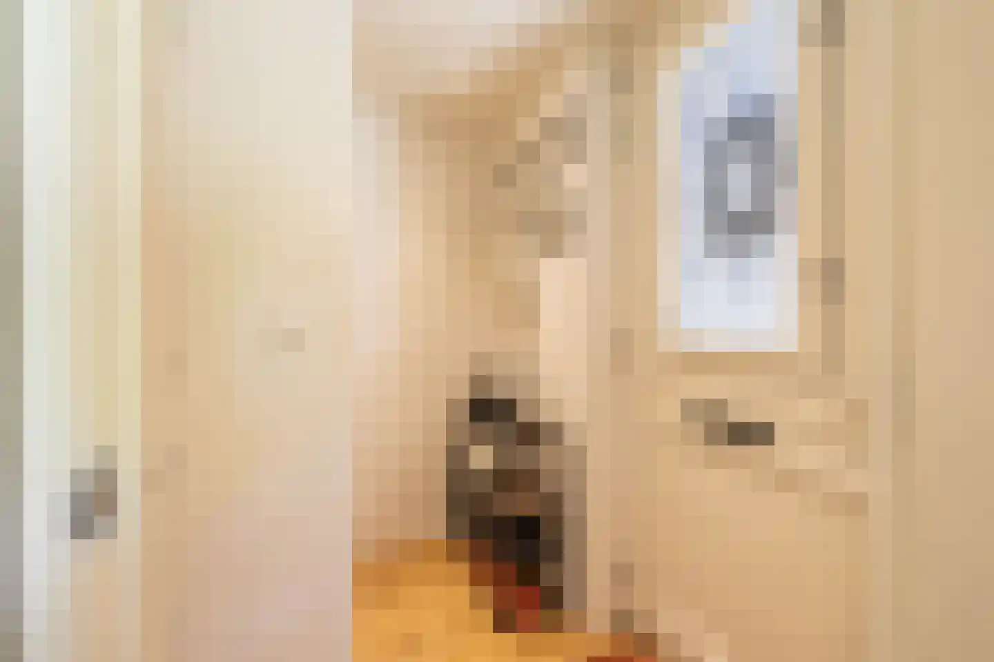 Vishoek 7 Groningen thumbnail 6