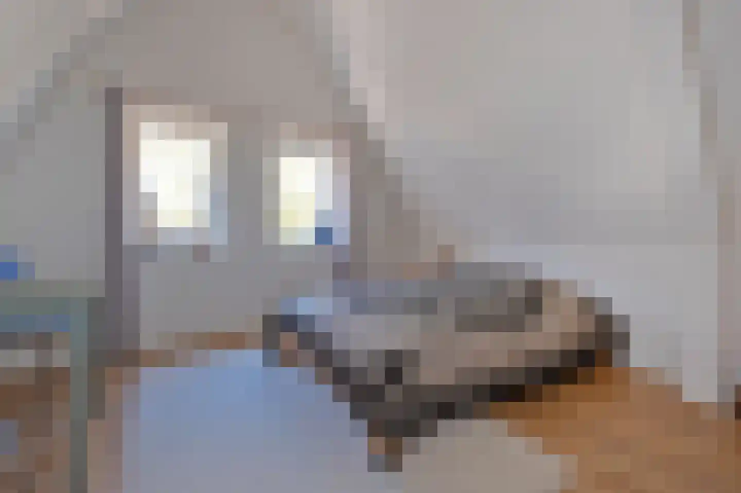 Vishoek 9 Groningen thumbnail 20