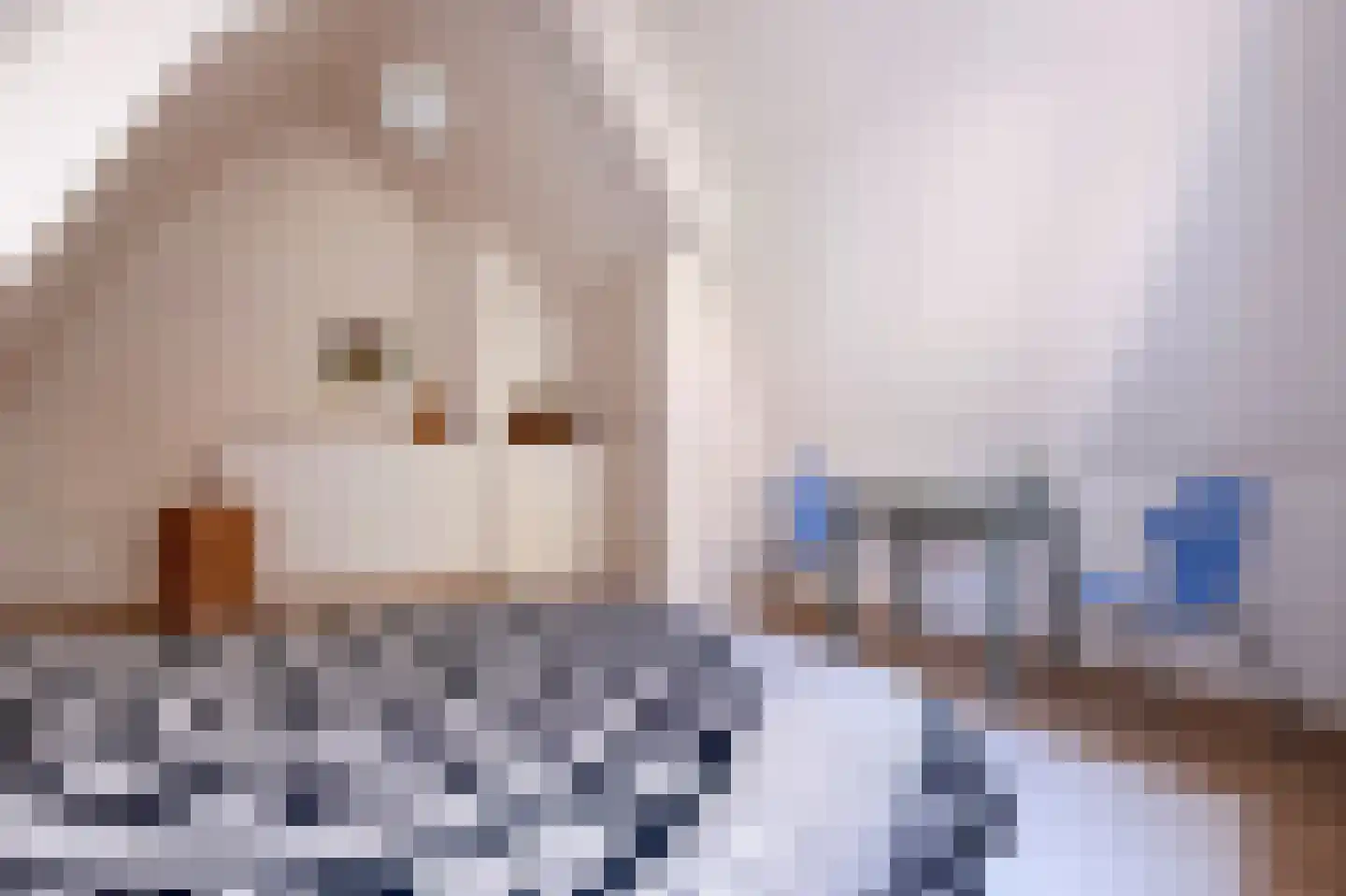 Vishoek 9 Groningen thumbnail 22