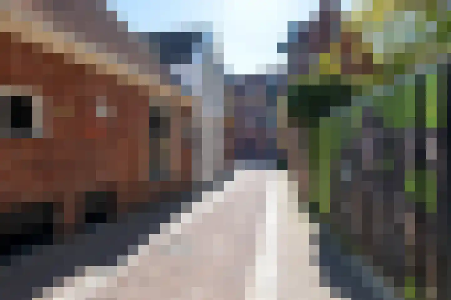 Vishoek 9 Groningen thumbnail 30