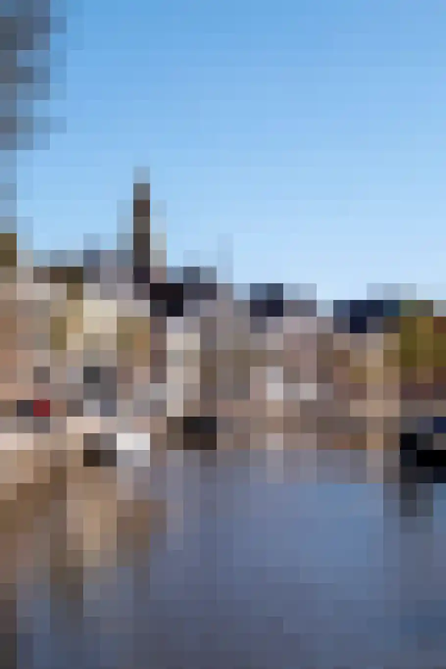 Vishoek 9 Groningen thumbnail 35