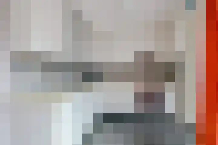 Vishouwer 4 Warmenhuizen thumbnail 11