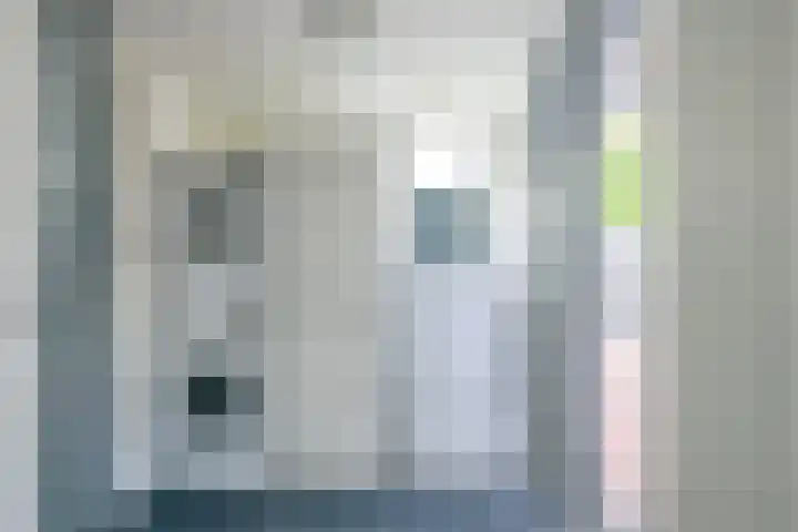 Vishouwer 4 Warmenhuizen thumbnail 12