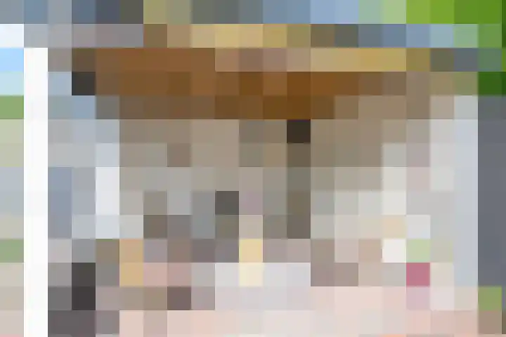 Vishouwer 4 Warmenhuizen thumbnail 15