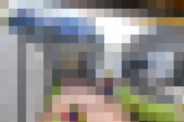 Vishouwer 4 Warmenhuizen thumbnail 16