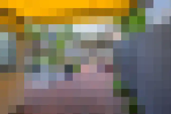 Vishouwer 4 Warmenhuizen thumbnail 17