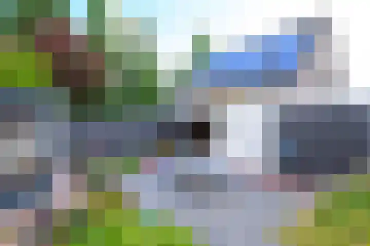 Vishouwer 4 Warmenhuizen thumbnail 18