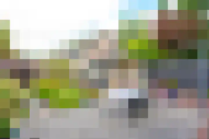 Vishouwer 4 Warmenhuizen thumbnail 19