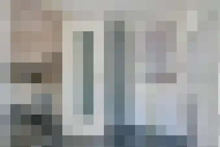 Vishouwer 4 Warmenhuizen thumbnail 23