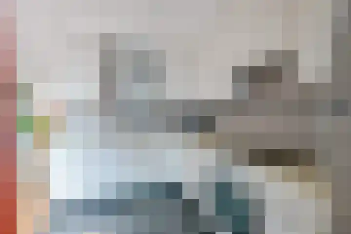 Vishouwer 4 Warmenhuizen thumbnail 24