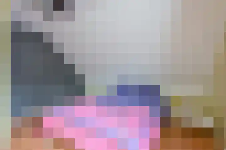 Vishouwer 4 Warmenhuizen thumbnail 27