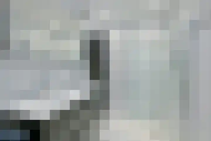 Vishouwer 4 Warmenhuizen thumbnail 32