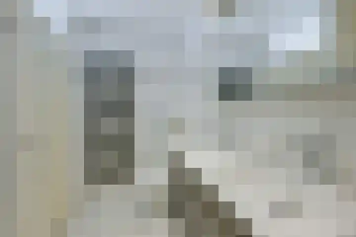 Vishouwer 4 Warmenhuizen thumbnail 33