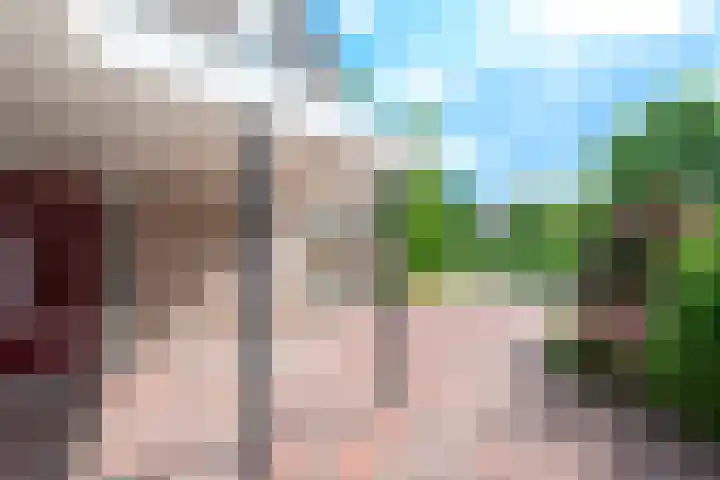 Vishouwer 4 Warmenhuizen thumbnail 39