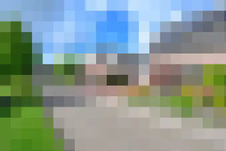 Vishouwer 4 Warmenhuizen thumbnail 40
