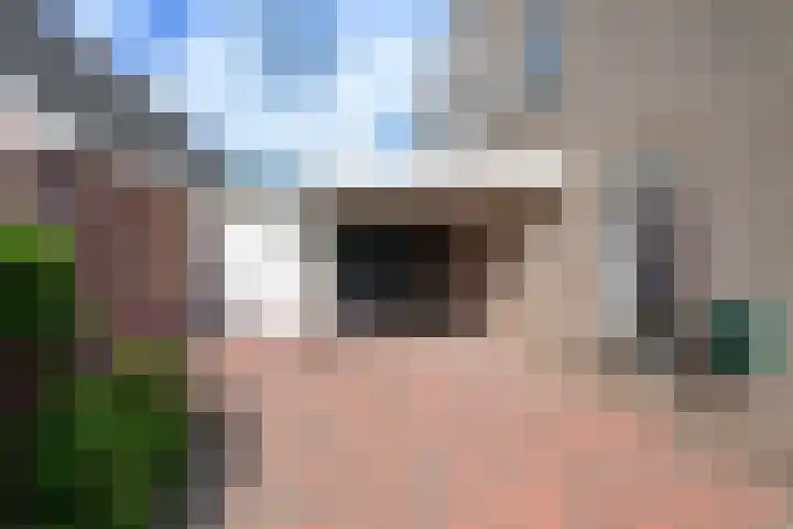 Vishouwer 4 Warmenhuizen thumbnail 41