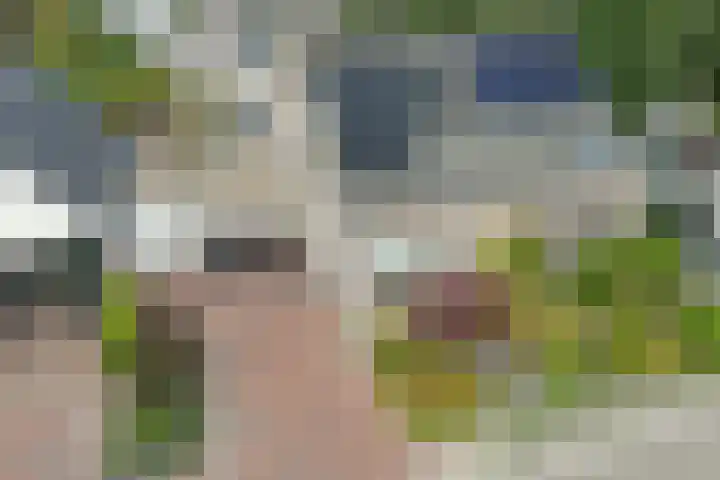 Vishouwer 4 Warmenhuizen thumbnail 42