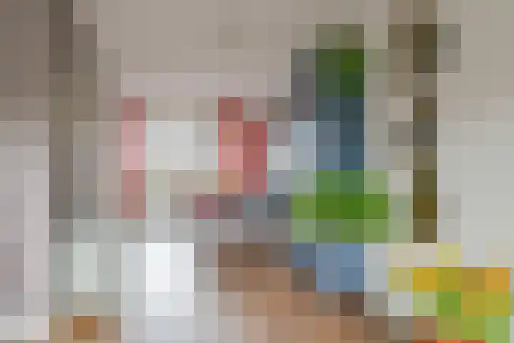 Vishouwer 4 Warmenhuizen thumbnail 7