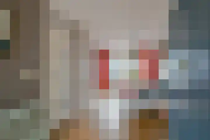 Vishouwer 4 Warmenhuizen thumbnail 8
