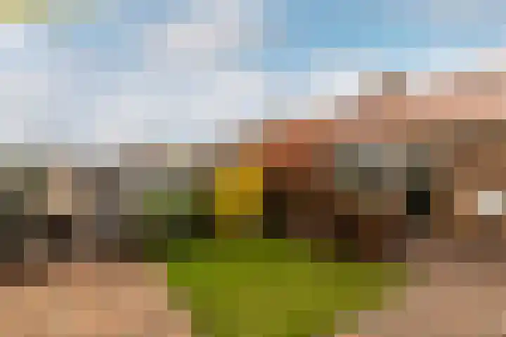 Viskilstraat 15 Mookhoek thumbnail 26