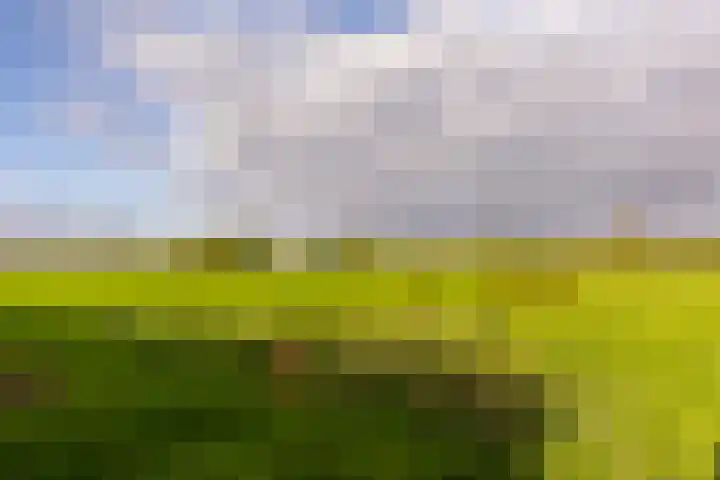 Viskilstraat 15 Mookhoek thumbnail 30