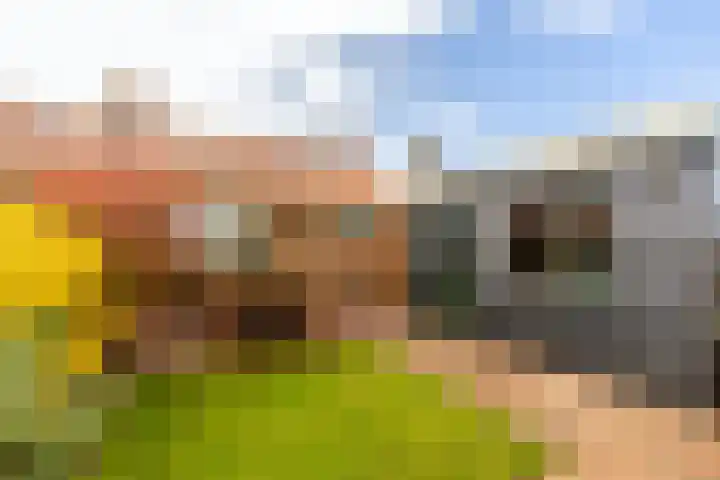 Viskilstraat 15 Mookhoek thumbnail 4