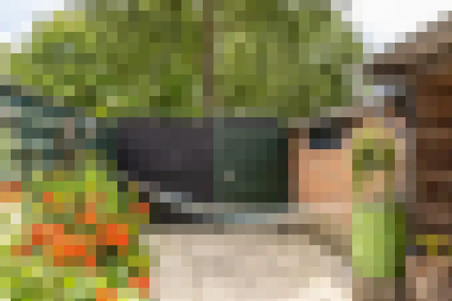 Viskilstraat 22 Mookhoek thumbnail 31