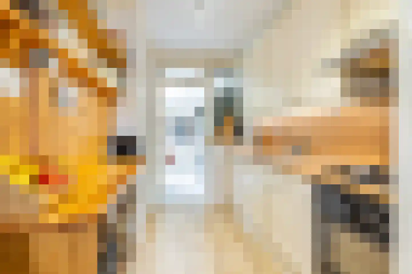 Viskilstraat 22 Mookhoek thumbnail 9