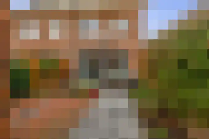 Viskorfstraat 56 Hoogvliet Rotterdam thumbnail 5