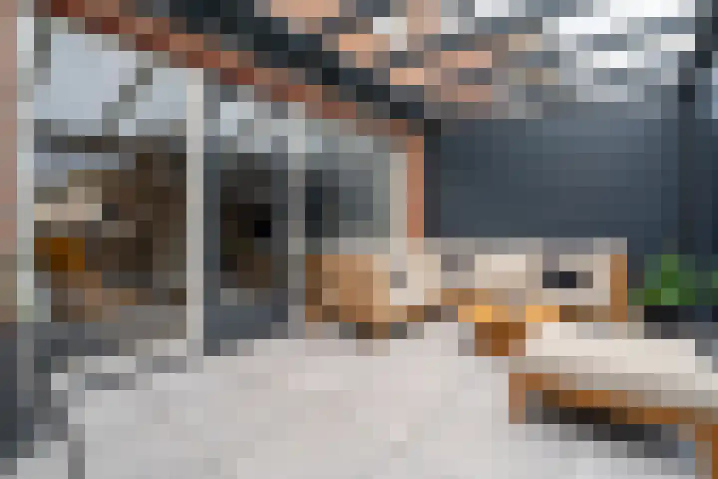 Viskorfstraat 70 Hoogvliet Rotterdam thumbnail 24