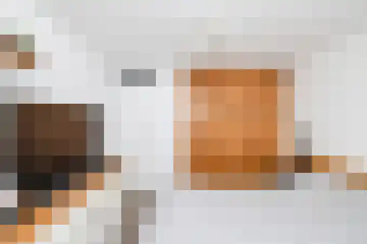 Viskuil 3 Andijk thumbnail 16