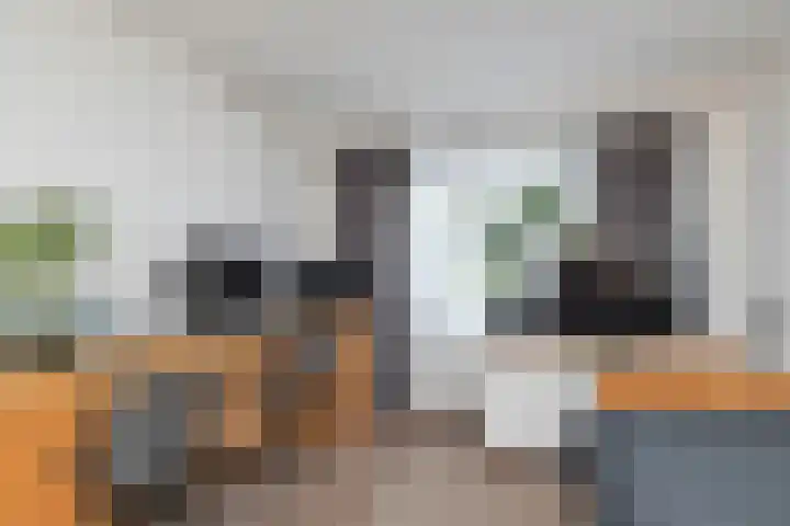 Viskuil 3 Andijk thumbnail 23