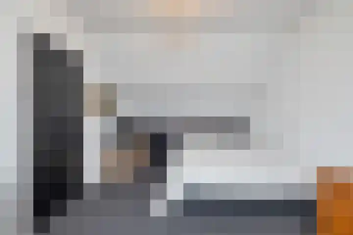 Viskuil 3 Andijk thumbnail 31