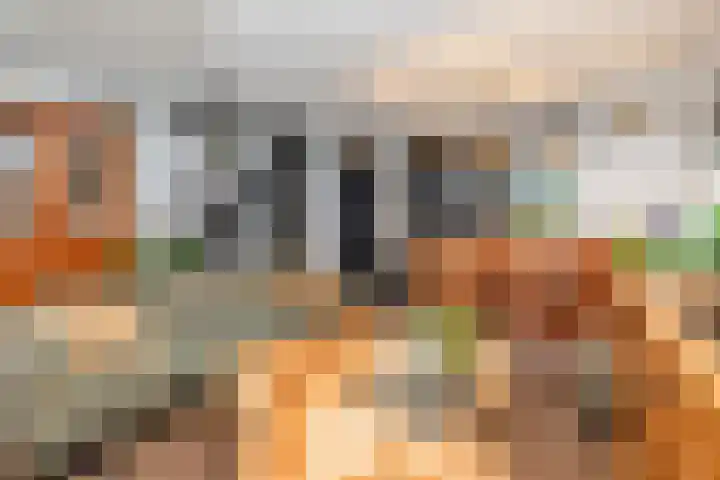 Viskuil 3 Andijk thumbnail 5