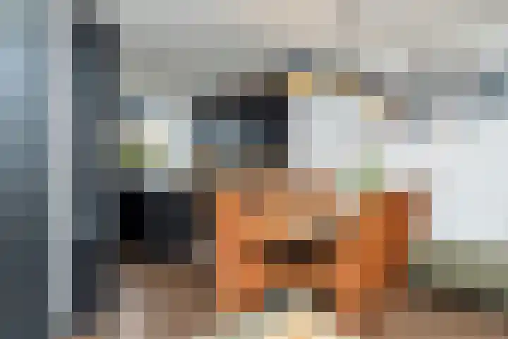 Viskuil 3 Andijk thumbnail 8