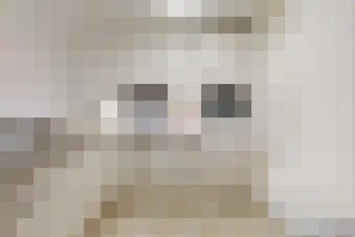Vislaantje 1 Limmen thumbnail 11