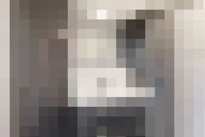 Vislaantje 1 Limmen thumbnail 18