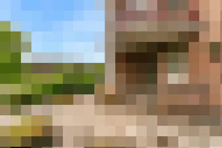 Vislaantje 1 Limmen thumbnail 22