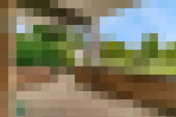 Vislaantje 1 Limmen thumbnail 23