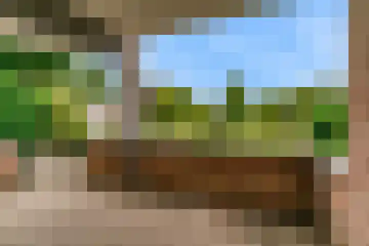 Vislaantje 1 Limmen thumbnail 24