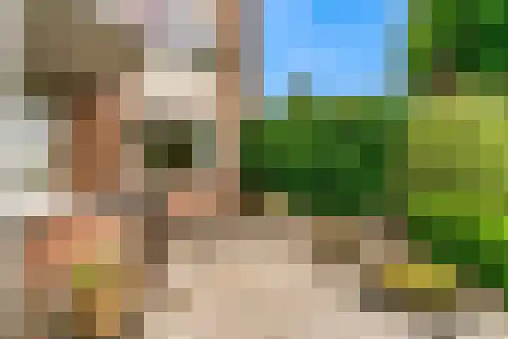 Vislaantje 1 Limmen thumbnail 25