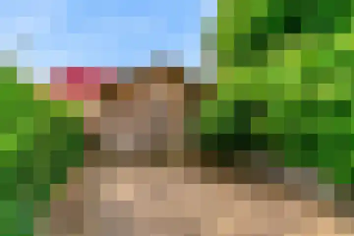 Vislaantje 1 Limmen thumbnail 29