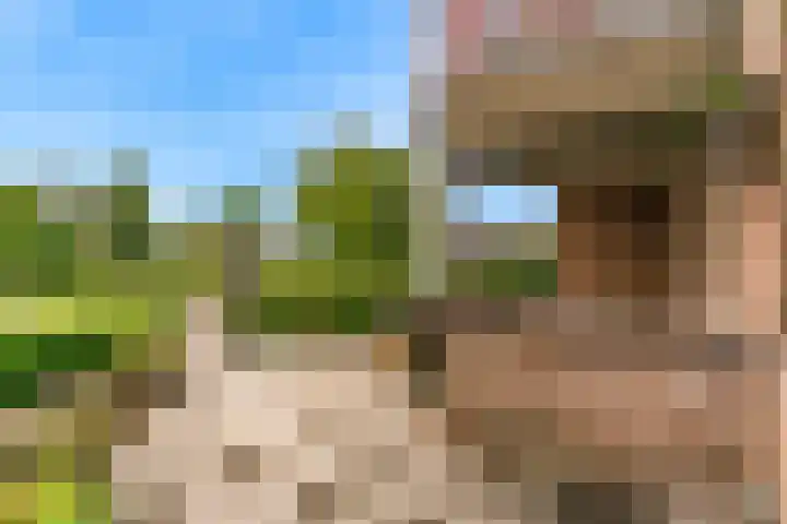 Vislaantje 1 Limmen foto 3