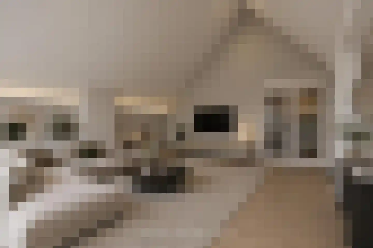 Vislaantje 11 Limmen thumbnail 10