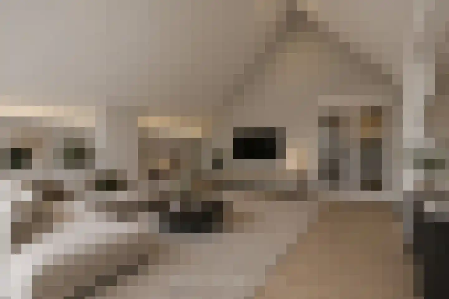 Vislaantje 11 Limmen thumbnail 12