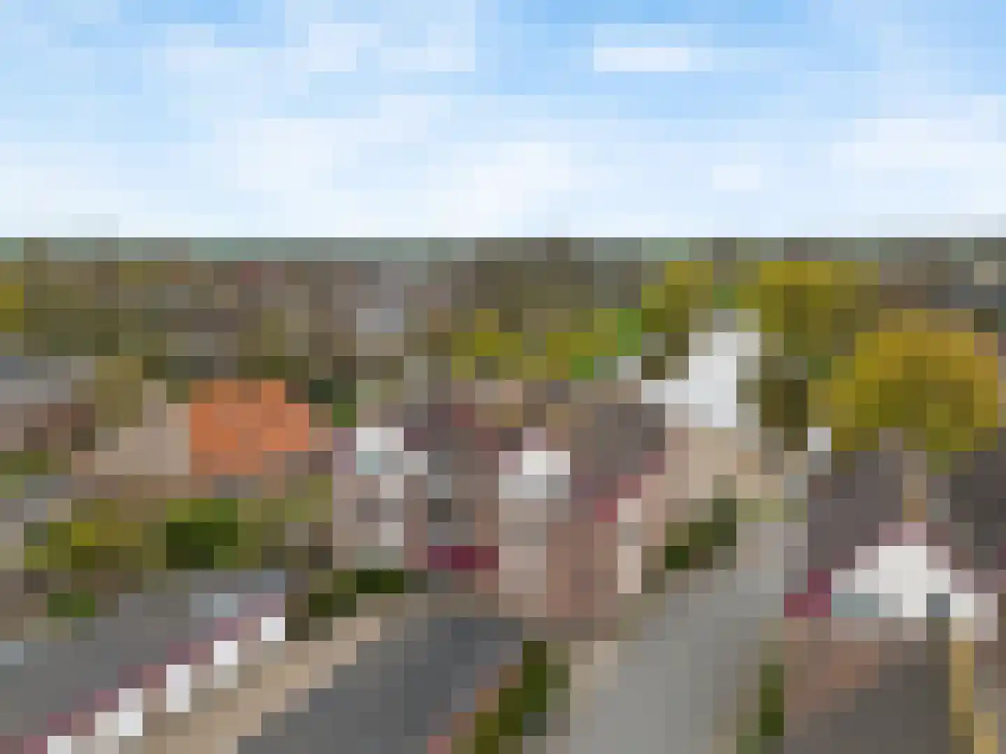Vislaantje 11 Limmen thumbnail 41