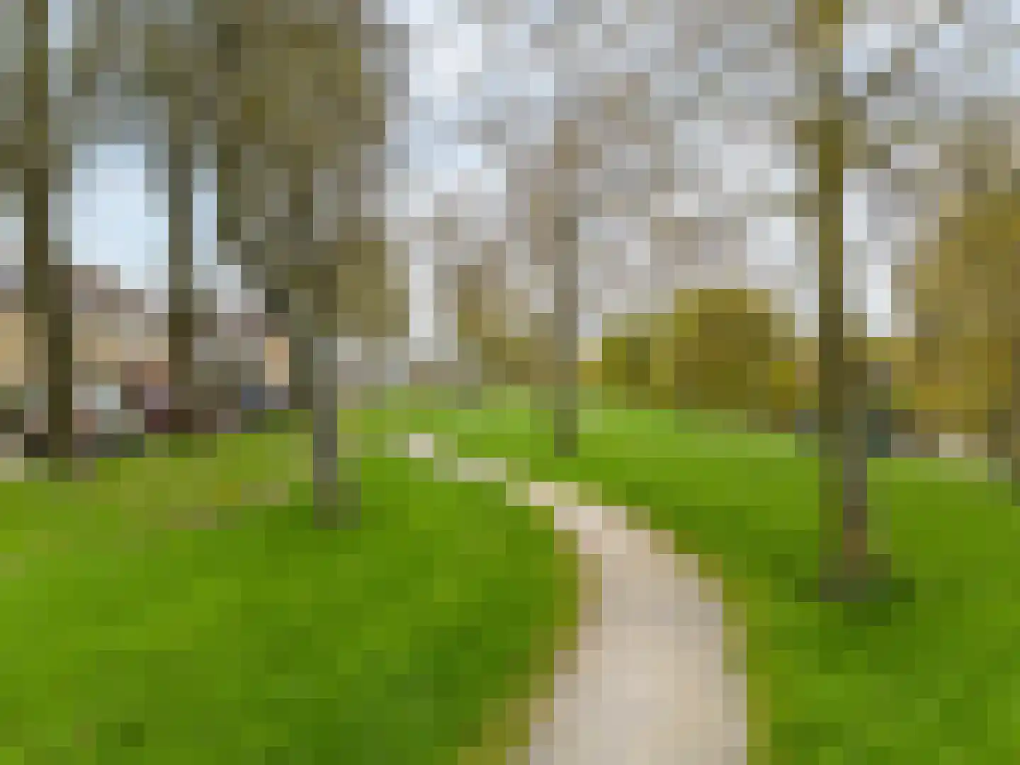 Vislaantje 11 Limmen thumbnail 44