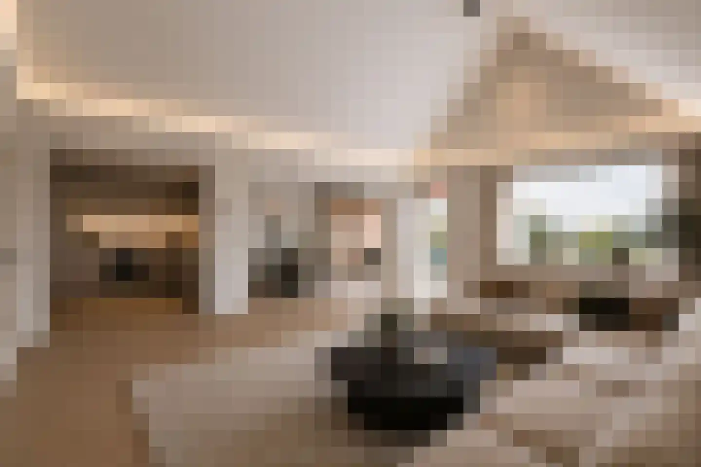 Vislaantje 11 Limmen thumbnail 6