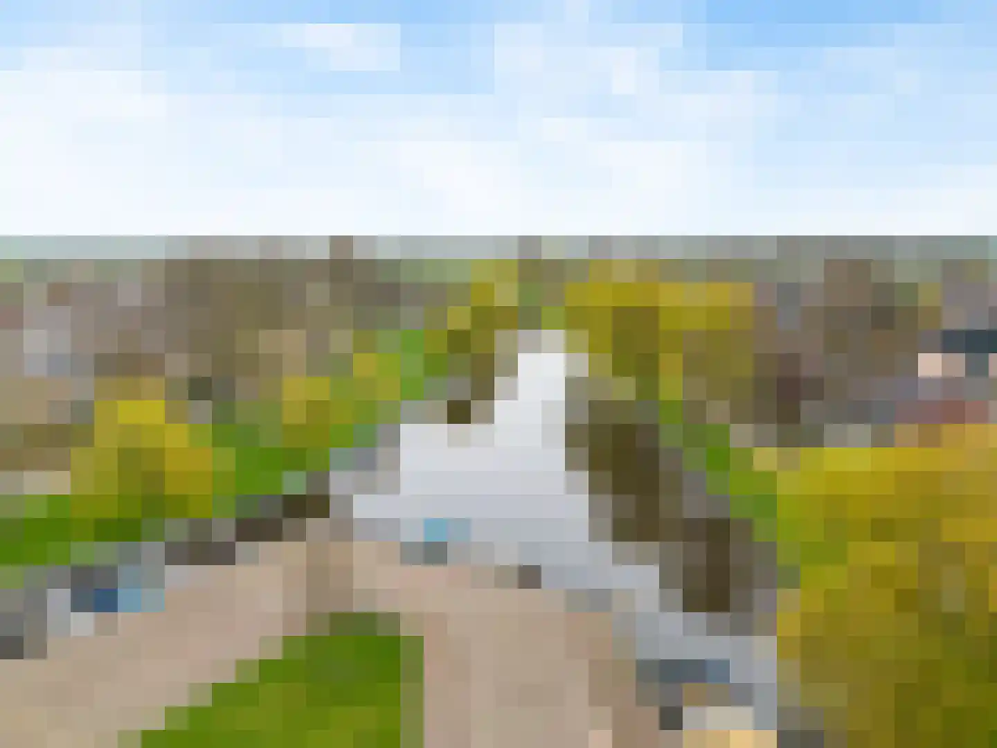 Vislaantje 11 Limmen thumbnail 8