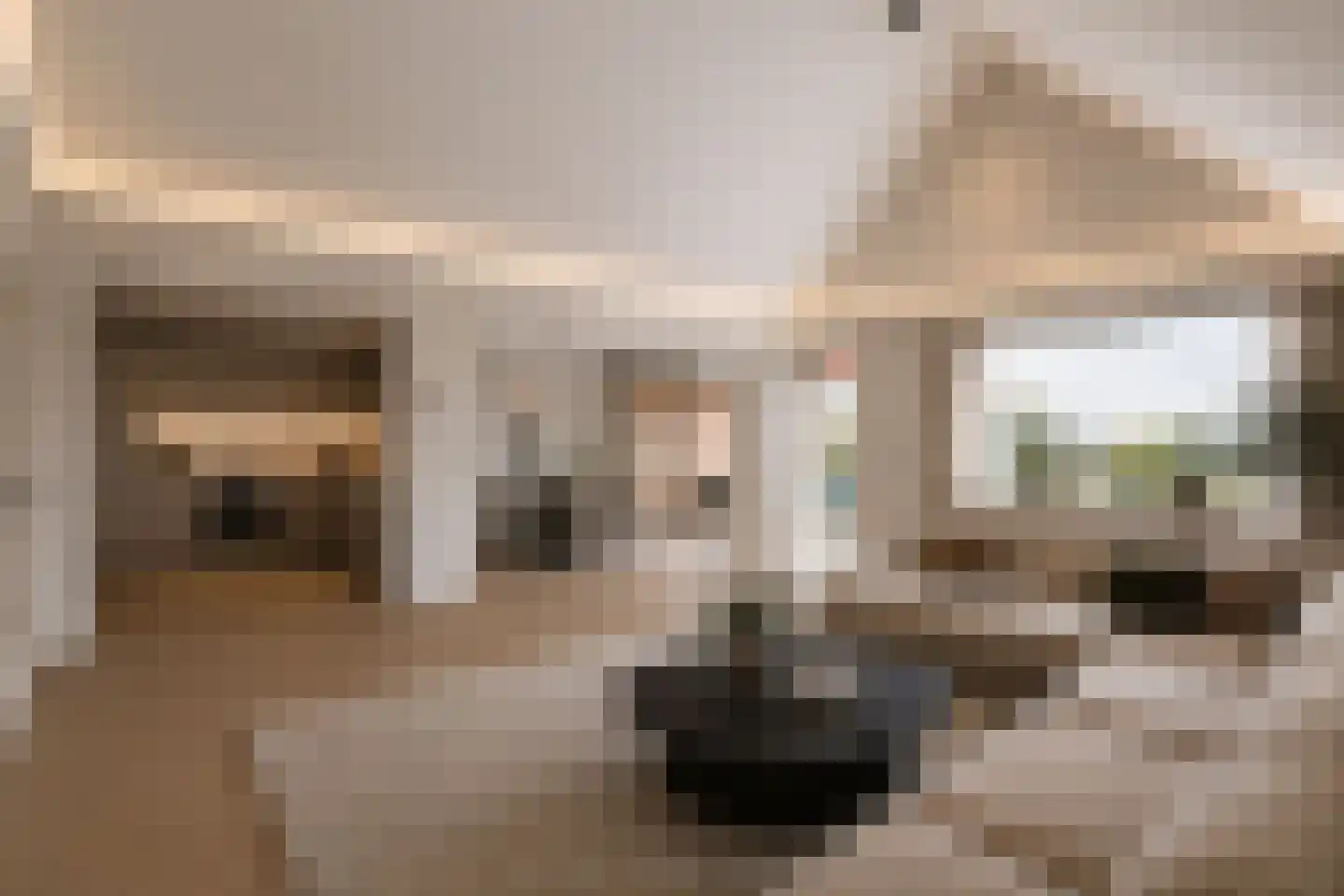 Vislaantje 11 Limmen thumbnail 9